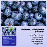 ماسک ورقه ای صورت بلوبری بیوآکوا