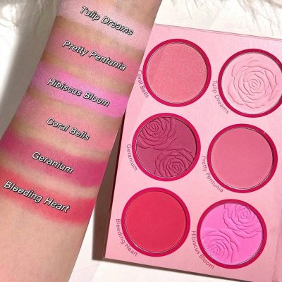 پالت رژگونه شش رنگ شیگلم