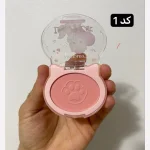 رژ گونه پالتی 4 رنگ انی لیدی