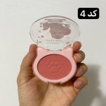 رژ گونه پالتی 4 رنگ انی لیدی