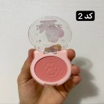 رژ گونه پالتی 4 رنگ انی لیدی