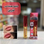 حجم لب گابرینی