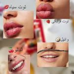 بالم لب گابرینی